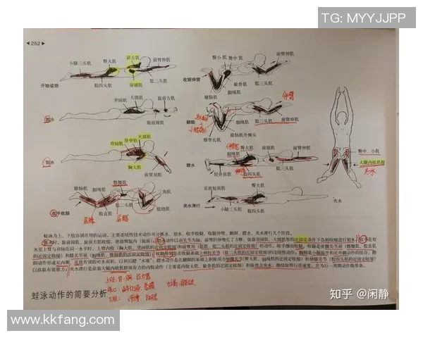 蛙泳技巧提升全攻略从基础动作到高效训练的全面解析
